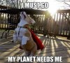 21 Animals Returning To Their Home Planets.jpeg