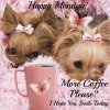 More coffee please_ I hope you smile today monday….jpeg