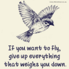 Inspirational Quote - Fly.png