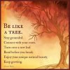 Positive Life quotes Life Sayings Be Like A Tree….jpeg