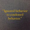 Ignored Behavior - Copy.jpg