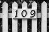 Number 109 @.jpg