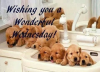 Wishing you a wonderful Wednesday.png