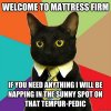 mattress firm.jpg