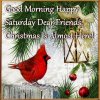 Good Morning Happy Saturday Christmas Is Almost….jpeg