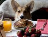 Banana Bourbon Pancakes and COOKBOOK NEWS!!! - A Cozy Kitchen.jpeg