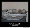 Cat-Scan_o_93341.jpg