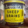 sheep-brains.jpg