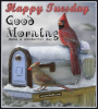 Winter Happy Tuesday Good Morning Quote.png