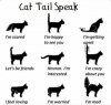 cat-tail-speak.jpg