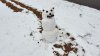 snowman 2 8 2020 3.jpg