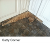 catty-corner-41395866.png