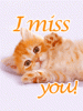 i+miss+you+kitty.gif