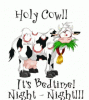 Holycow Bedtime GIF - Holycow Bedtime NightNight….gif