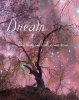 DREAM Quote Raspberry ENCHANTED FOREST Stars Full Moon at Twlight Art Print.jpeg