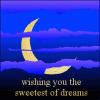 wishing you the sweetest of dreams.gif