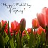 4 Get-Healthy Ideas for the First Day of Spring.jpeg