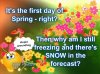 1st day of spring and snow in forecast.jpeg