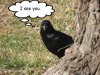 Disney crow .jpg