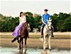 Disney horse steve and kate 4 (2).jpg