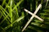 palm-cross-and-leaves-royalty-free-image-155354896-1552012808.jpg