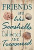 Friends Are Like Seashells Sign.jpeg