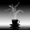 love-relaxation-pleasure-danse-coffee-concept-10870269.jpg