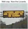 lizzards.jpg