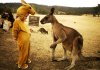 Kangaroo @.jpg