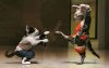 Kung Fu Cats @.jpg