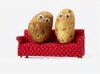 Potatoes @.jpg