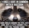 racoon.jpg