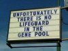 lifeguard gene pool.jpg