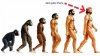 evolution chart.jpg