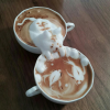 cat-fish-coffee.png