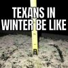 texans-snow-meme.jpeg