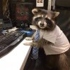 Racoon computer.jpg