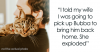 pregnant-wife-makes-man-get-rid-of-cat-fb16.png