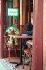 dog-cafe-1.jpg