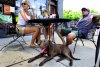 pet-friendly-restaurant-2.jpg