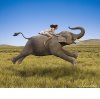 Woman-Riding-Elephant.jpg