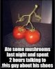 mushroom.jpg