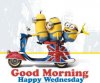 222440-Good-Morning-Happy-Wednesday.jpg