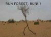 Run_Forrest_Run.jpg