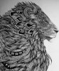 tmp_6302-beautiful-black-and-white-drawing-lion-Favim.com-1943398611897470.jpg