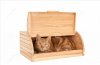 cat-bread-box-looking-ginger-hiding-open-wooden-breadbox-isolated-white-40661248.jpg