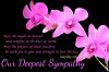 sympathy-messages-images.jpg