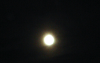 SPECIAL MOON TONIGHT.png