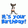 funny birthday new pictures (3).gif