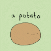 tater 2.gif